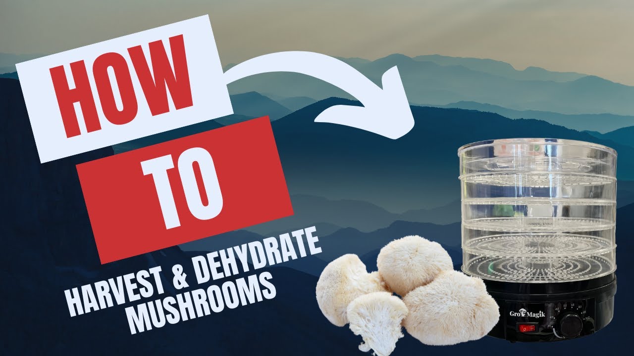 How to Harvest & Dehydrate Mushrooms with the Gro Magik 5 Level Dehydrator