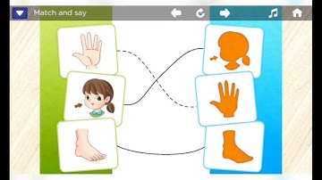 Từ vựng tiếng Anh cho bé về chủ đề cơ thể con người - Học tập hiệu quả và dễ nhớ cho bé 5 tuổi