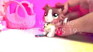 Lps Intro For My Bestie Silverpaw 19