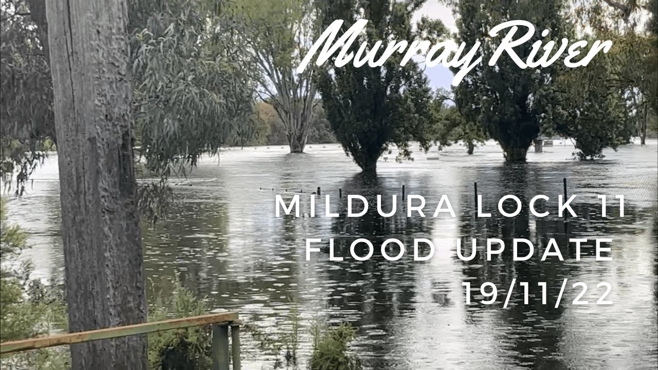 Mildura Lock 11 flood update 19/11/22 YouTube