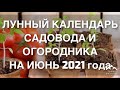 ПОСЕВНОЙ 🌙 ЛУННЫЙ КАЛЕНДАРЬ 🪴САДОВОДА И ОГОРОДНИКА НА ИЮНЬ 2021 года