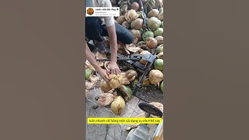máy tách dừa khô thủ công cực nhanh #garden #videoviral