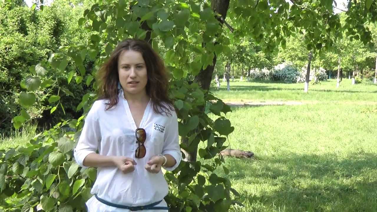 Тренинг "Катарсис". Отзыв Дьячковой Дианы