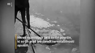 Salt Harvest At The Piran Salt Pans 22.07.1969