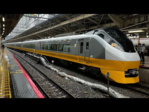 E657系K2編成(リバイバルカラー)東京駅入線