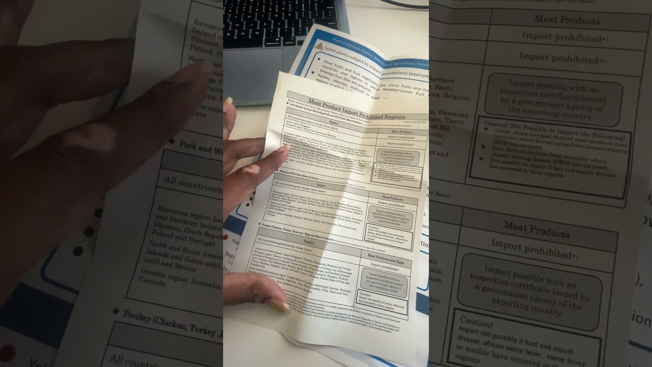 Items BANNED at Japan airport🇯🇵 