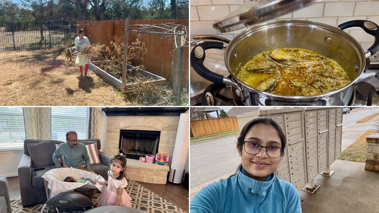 গোরা সারাদিন মা-বাপির কাছেই থাকে,  আমি শুধু ভাবি কয়েক মাস পর দুজনকে একা কিভাবে সামলাবো  | TX,USA |