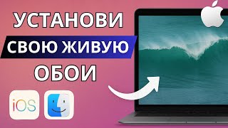 Как установить своё видео в качестве живых обоев на Mac – Полное руководство screenshot 5
