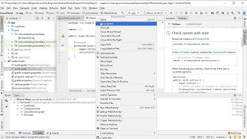 Picture Diary | 1 | Authentication Setup | Android Firebase Project