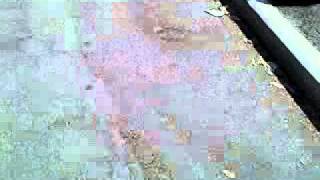 26 ?August 2010 1108