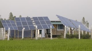 Bangladesh’s Farmers, Small Business Owners Prosper with Solar Power