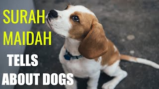 What Surah Maidah says about Dogs and other Halal concepts.