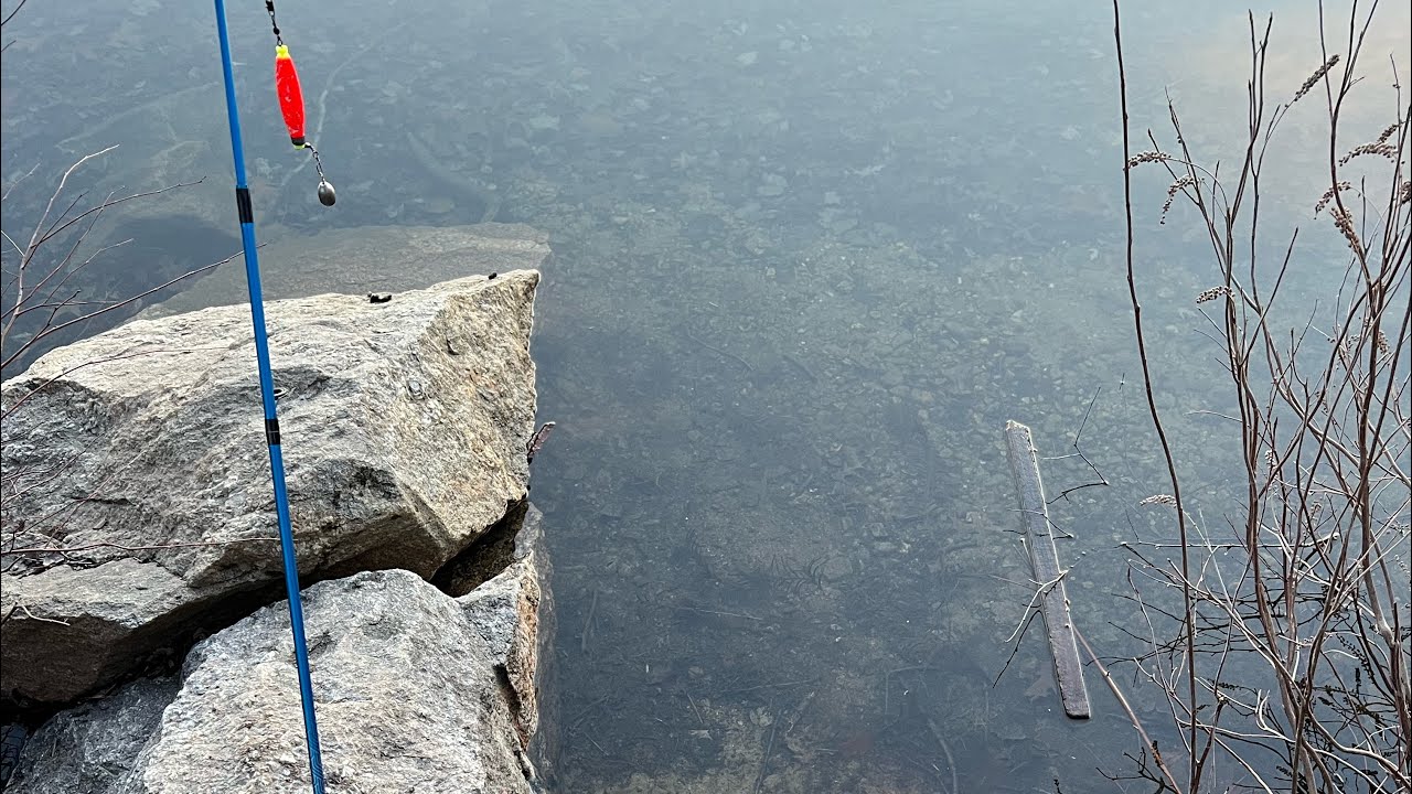 Trout fishing in Massachusetts YouTube