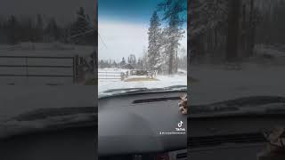 Feeding Cattle in Winter, Problems.. And Solutions