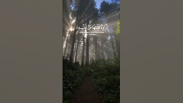(" وقال نسوة في المدينة امرأت العزيز ") || سورة يوسف | الشيخ  صلاح الباجي #قران_كريم