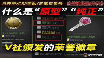 【CS2】原型饰品和纯正饰品分别是什么？V社给创作者最棒的礼物~