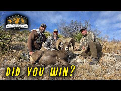Pro Membership Sweepstakes Drawing for Premium Desert Big Horn Sheep Hunt!