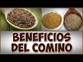 BENEFICIOS DEL COMINO