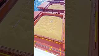 Coal से Grain तक! 🤯 Ship कैसे बदलता है Cargo? 🚢🌾