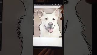 White Dog Portrait on Procreate, Time Lapse