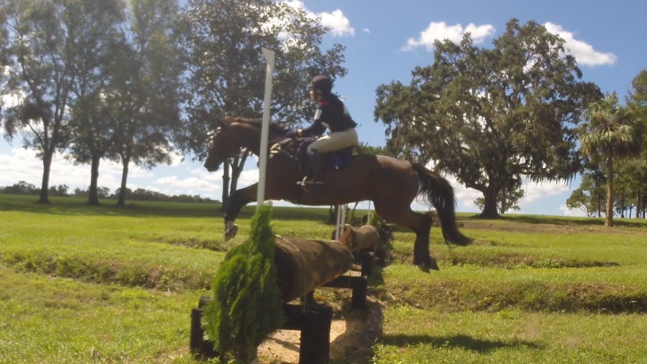 Lauren Paffrath "Dichterlieben" EXMOOR Farm Horse Trials (P) 10/14/2017