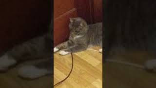 Prince Is Sour About Being Locked Out Of His Game Room