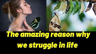 The Butterfly Struggles inspirational story | why we struggle in life | butterfly cocoon story