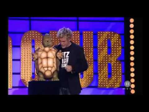 Josy Schildkröte Josy Schildkröte