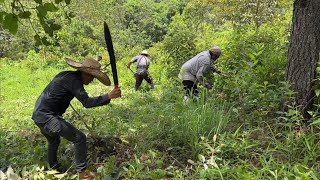 Limpiando El Potrero Trabajos Del Campo En Mexico
