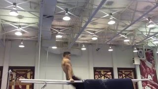 Jake Dalton Parallel Bars