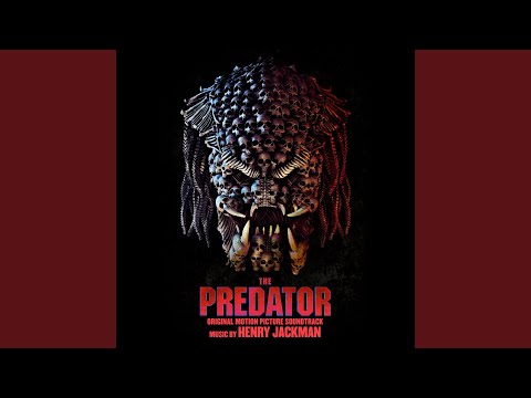 Man Vs. Predator