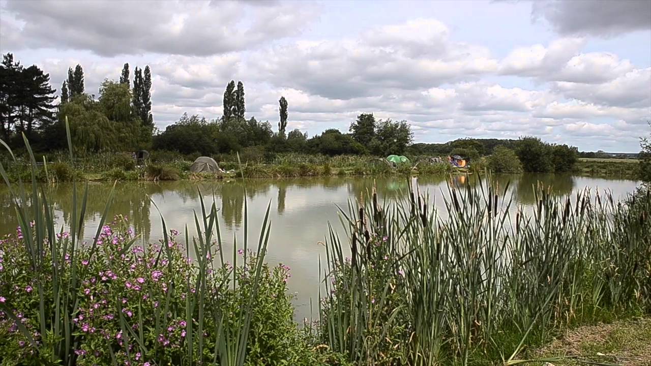 ASH PONDS, ASH, MARTOCK, SOMERSET YouTube