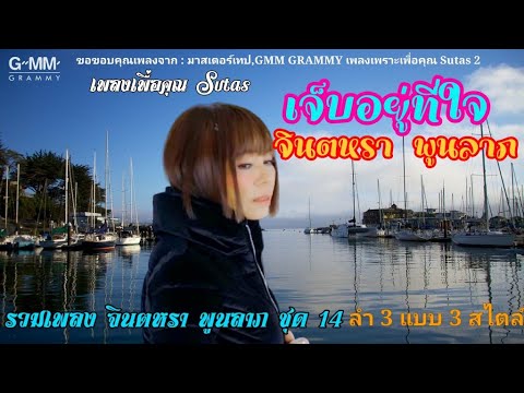 เจ็บอยู่ที่ใจ ~ จินตหรา พูนลาภ Sutas 2