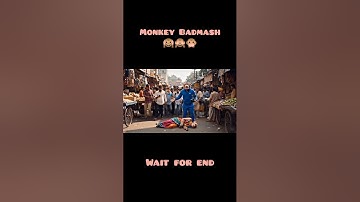 Ai Monkey Vlogs videos! "how to make monkey vlog" | #aimonkeyvlog #ai #monkey #monkeyblog #veo3 #veo
