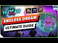 Endless Dream ULTIMATE GUIDE Everything To Know Once Human 2 0 New Scenario 