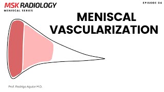 04 - Meniscal Vascularization
