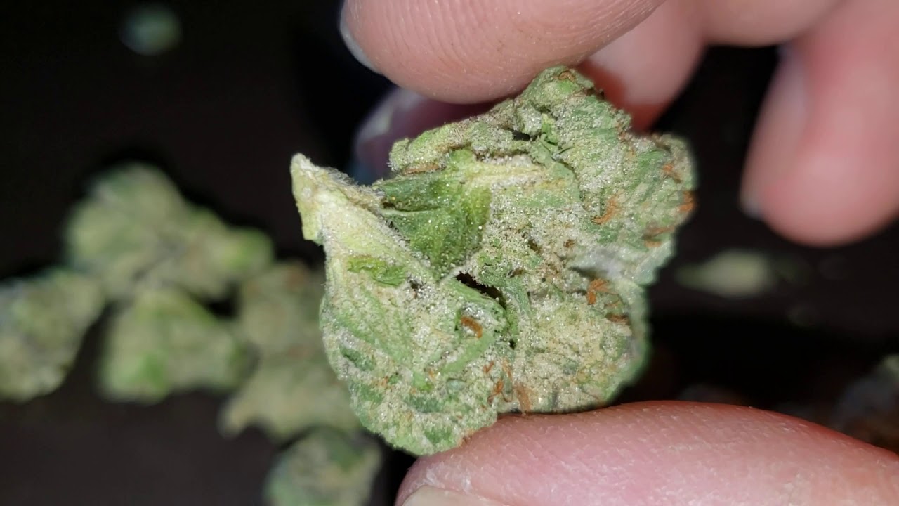 GPurps Back kicking Azz 32%