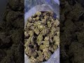 THCA Flower, Concentrates, Carts, Pre-Rolls… ALL Illegal in 2026? Stock Up While It’s Dirt Cheap