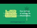 What's Legal? (Espanol)