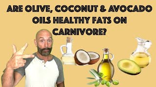Are Olive, Coconut & Avocado Oils Healthy On Carnivore? #oliveoil #coconutoil Avocado Oil Seed Oil