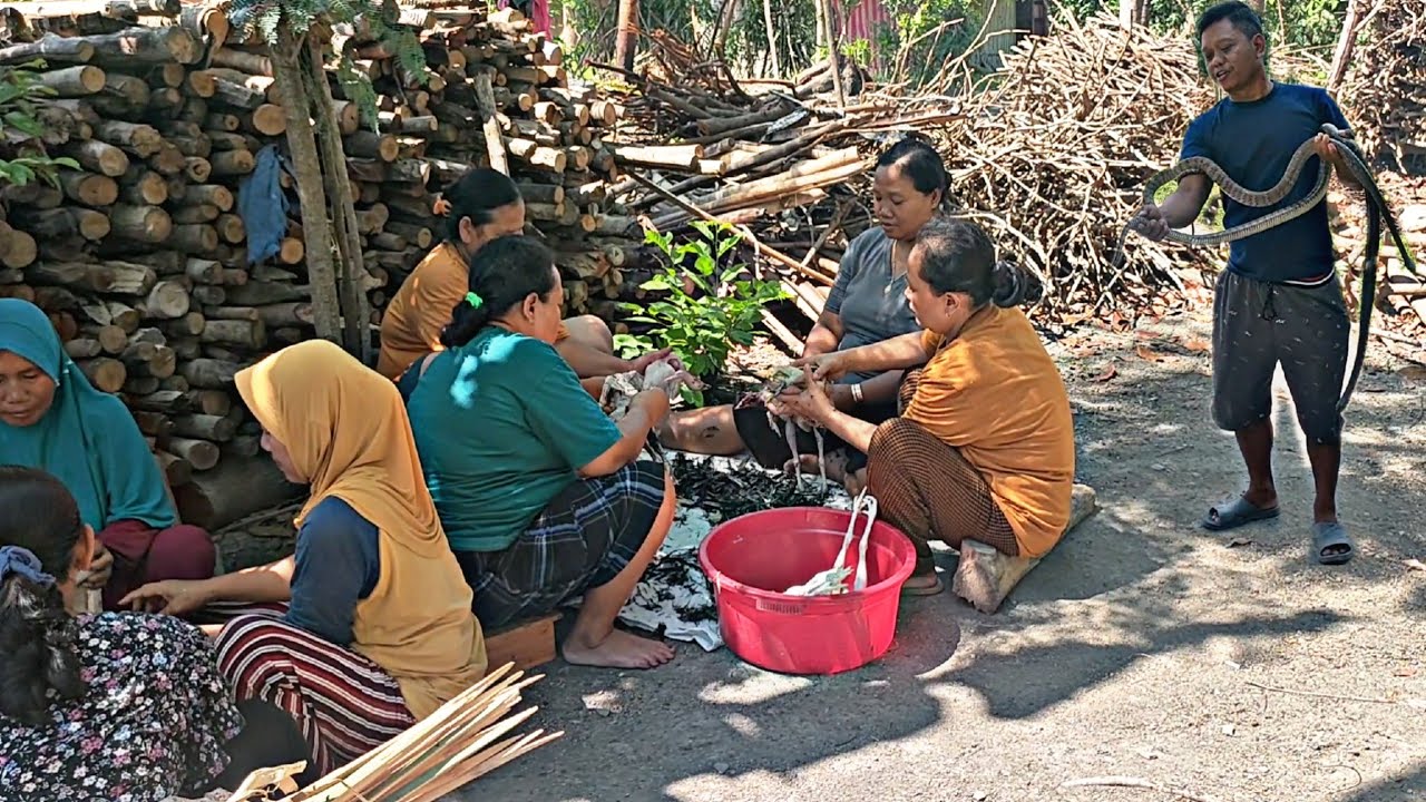 Ngeri Sekali‼️Suasana Gotong Royong Hajatan Mantu Pendarat full Semangat,,Ada Ular besar Lagi Birahi