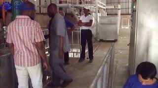 Sesame Elevatorsesame Processing Machinesesame Processing Line Sesame Production Equipment