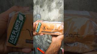 Bunnycart Plants Unboxing 🌿 | Premium Aquarium Plants Delivered Before Time!
