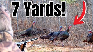 Turkey Hunting at Close Range During Wisconsin's Youth Turkey Season!