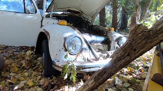 Forgotten Vw Bug Sitting in the Woods for nearly 40 years .
