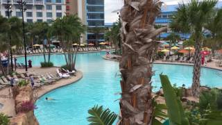 Pool Loews sapphire Florida