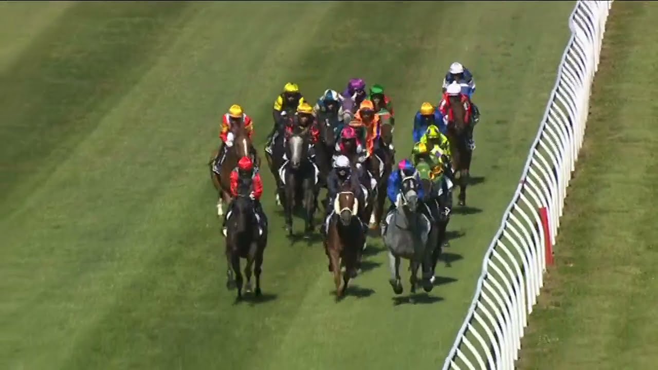 Кубок Веллингтона 2026 - MANZOR BLUE (Hcp G3) Группа 3, Трентам, Новая Зеландия, 31 января