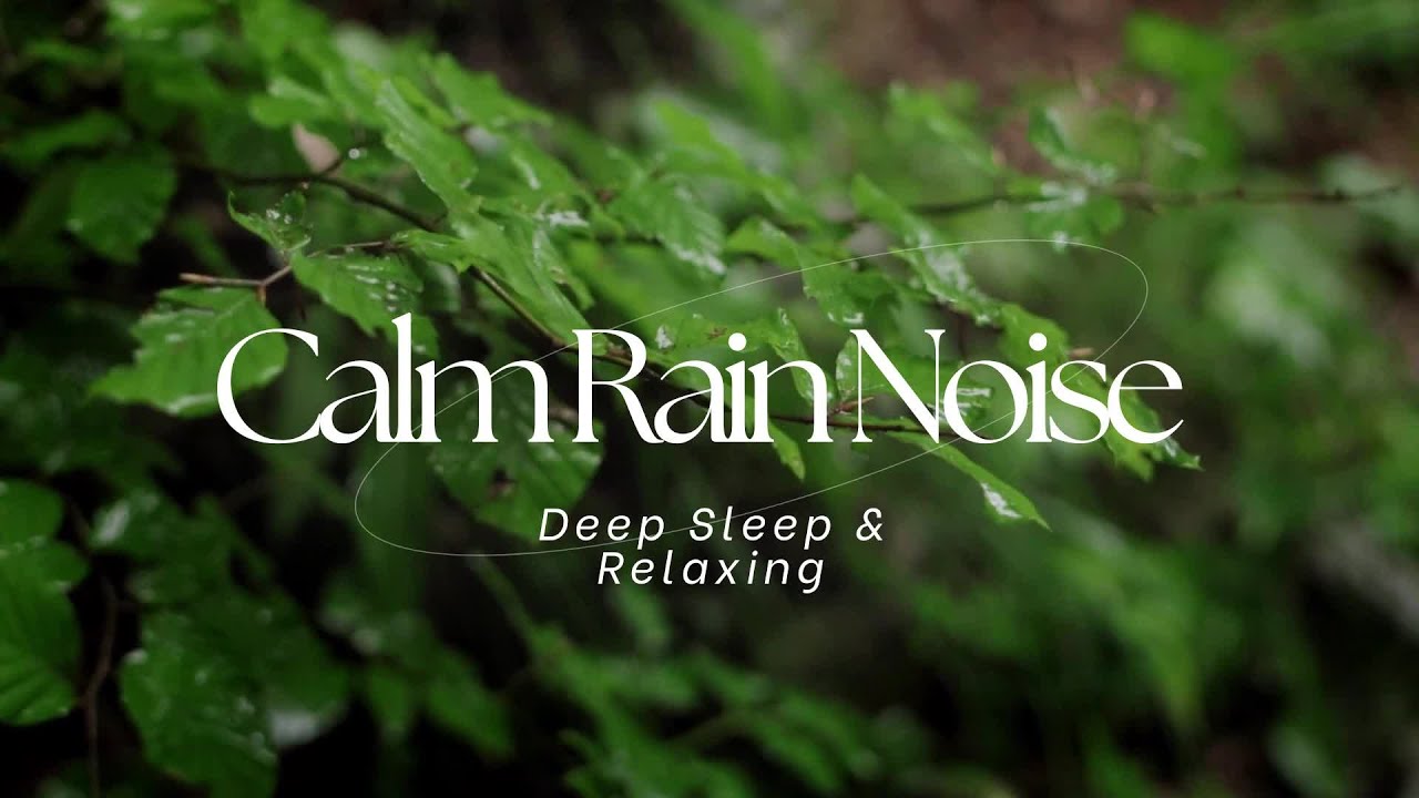 10 Hours of Rain Sounds for Deep Sleep & Relaxation - YouTube