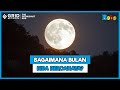 Fakta Menarik - Bagaimana Bulan Bisa Terlihat Bercahaya dari Bumi? - Antariksa