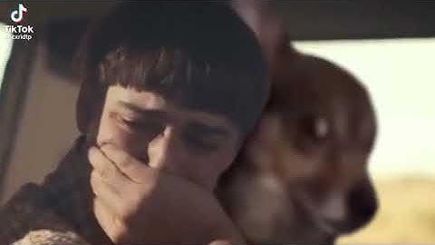 stranger things but will crying near of confused dog
